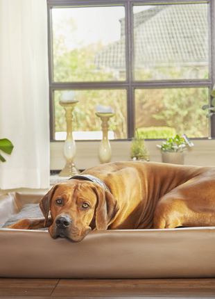 Hundebett KUDDE Kunstleder