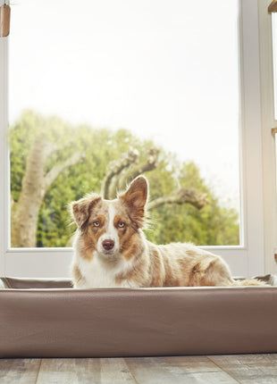 Hundebett KUDDE Kunstleder