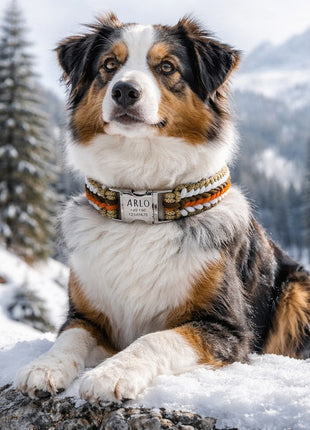 Arlo – Handgefertigtes Paracord Hundehalsband mit Gravur | Orange-Braun-Weiß-Beige