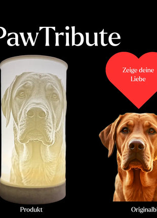 PawTribute – Personalisierte Gedenklampe mit deinem Foto
