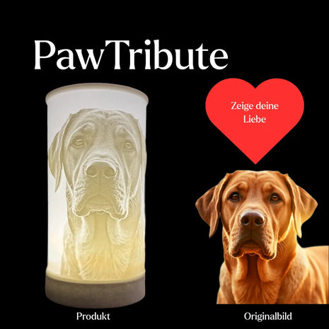 PawTribute – A luminous 3D keepsake image of your pet