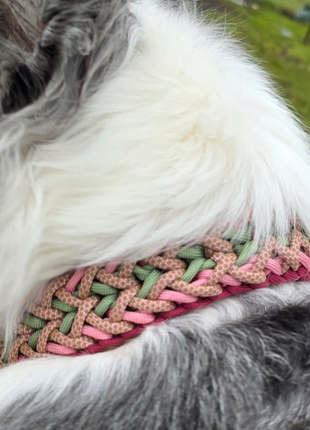 Handgemachtes Paracord-Hundehalsband „Rosé Sage“