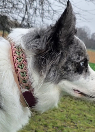Handgemachtes Paracord-Hundehalsband „Rosé Sage“