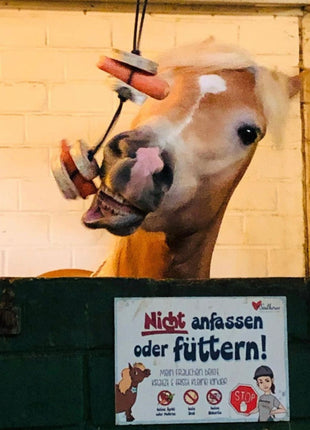 Pferdespielzeug Mini-Tarzan - Spielzeug für Pferde und Ponys gegen Langeweile - Pferdebeschäftigung