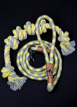 Hundeleine grau gelb Angebot mit gratis Tauseil zum spielen und zerren