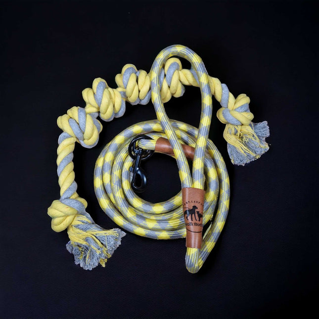 Hundeleine grau gelb Angebot mit gratis Tauseil zum spielen und zerren