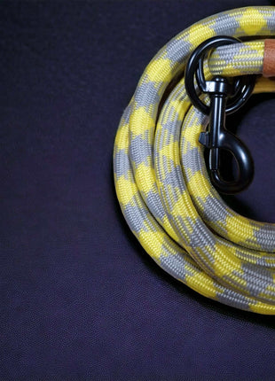 Hundeleine grau gelb Angebot mit gratis Tauseil zum spielen und zerren