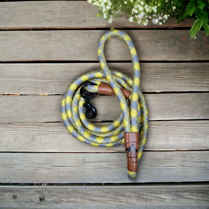 Hundeleine grau gelb Angebot mit gratis Tauseil zum spielen und zerren