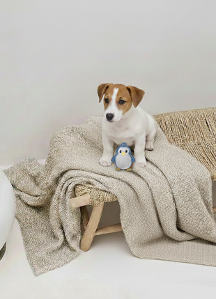 BUDDY. Hundespielzeug aus Leder "Kleiner Pinguin"