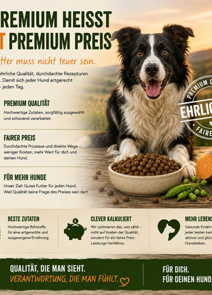 MyPetClub Insects