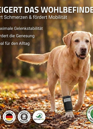Stabilisierungs Handgelenkbandage für Hunde