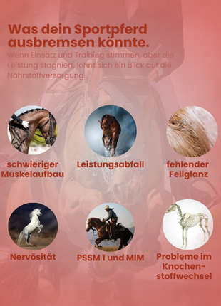 Krähenbusch® Mineralfutter Sport