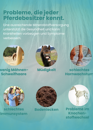 Krähenbusch® Mineralfutter Organisch