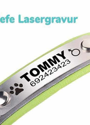 Hundehalsband mit Namen und Telefon graviert. Reflektierend