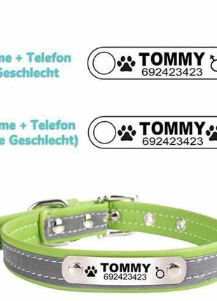 Hundehalsband mit Namen und Telefon graviert. Reflektierend
