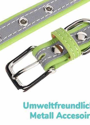 Hundehalsband mit Namen und Telefon graviert. Reflektierend