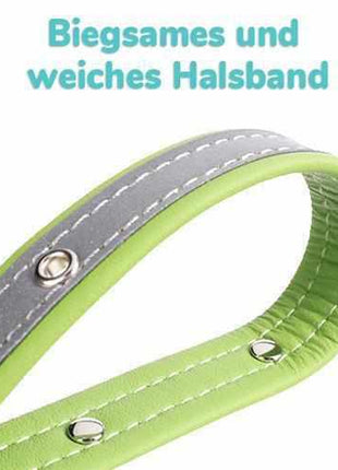 Hundehalsband mit Namen und Telefon graviert. Reflektierend