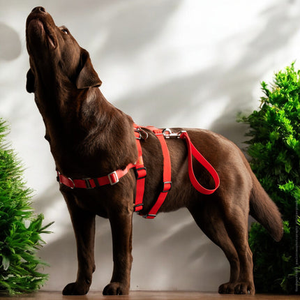 Anti-Stress-Geschirr STURMFREI® Saver für sehr kleine Hunde