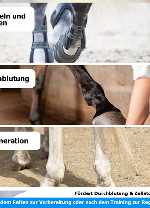 AnoKath® Rotlicht-Gamasche Pferd LEG 110 – Tiefenwärme, Regeneration & Mobilität
