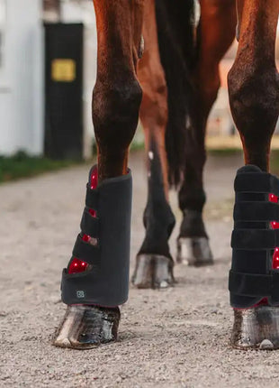 AnoKath® Rotlicht-Gamasche Pferd LEG 110 – Tiefenwärme, Regeneration & Mobilität