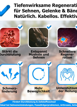 AnoKath® Rotlicht-Gamasche Pferd LEG 110 – Tiefenwärme, Regeneration & Mobilität
