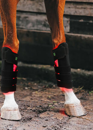 AnoKath® Rotlicht-Gamasche Pferd LEG 110 – Tiefenwärme, Regeneration & Mobilität