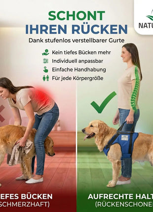 Vordere Tragehilfe für Hunde