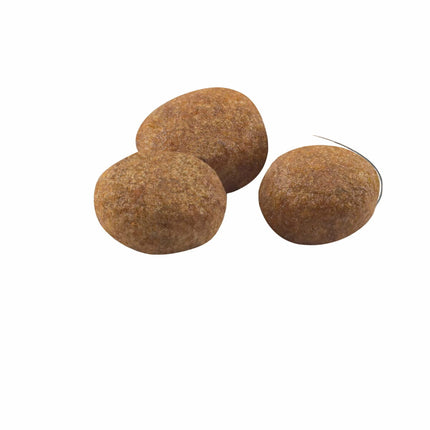 V9H7BB86AA69577EAD949359E157001D2FER3587188P2