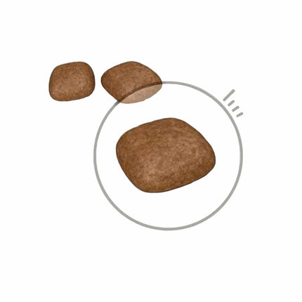 V9HA69C7B3E29F2FC6B10C17EA00BAF0A12R3587252P3