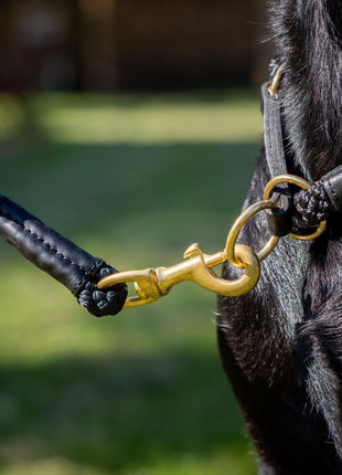 Hundehalsband OUTDOOR Rundzug