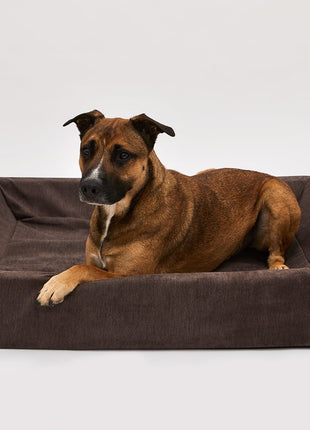 Bezug für KUDDE Alltid