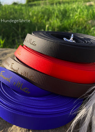 Wanderlust leash made of BioThane®/POP tape