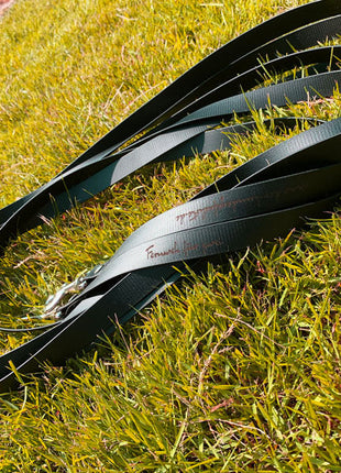 Double trail leash FERNWEH made of BioThane®/POP - Band
