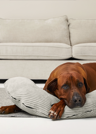 SCHMUSEHÖRNCHEN Cord