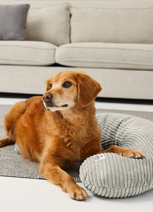 Bezug für SCHMUSEHÖRNCHEN Cord