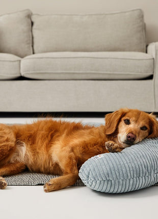 SCHMUSEHÖRNCHEN Cord