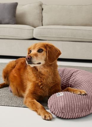 SCHMUSEHÖRNCHEN Cord