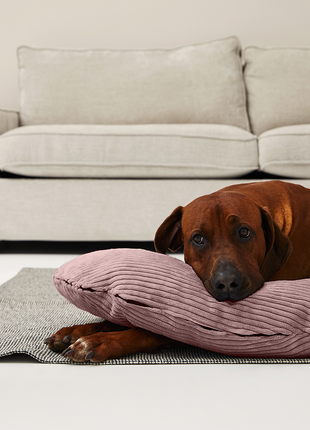 SCHMUSEHÖRNCHEN Cord