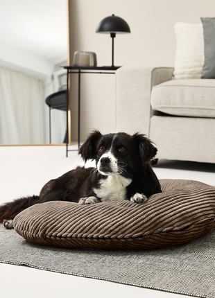 SCHMUSEHÖRNCHEN Cord