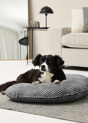 Bezug für SCHMUSEHÖRNCHEN Cord