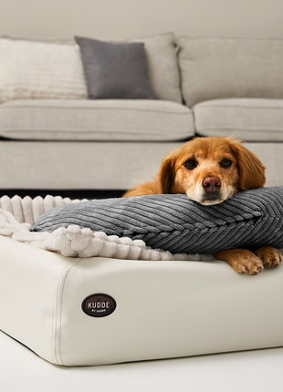 SCHMUSEHÖRNCHEN Cord