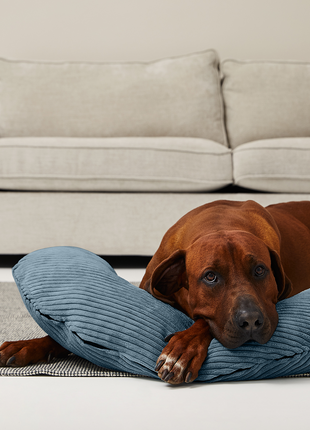 Bezug für SCHMUSEHÖRNCHEN Cord