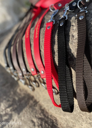 Wanderlust leash made of BioThane®/POP tape