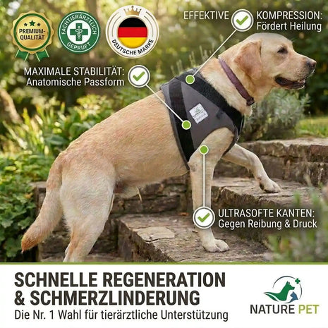 Shoulder abduction bandage for dogs