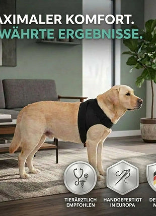 Schulter Abduktion Bandage für Hunde