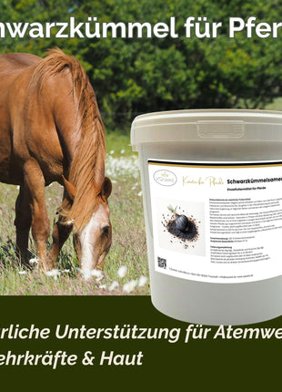 Schwarzkümmel Pferd 1kg
