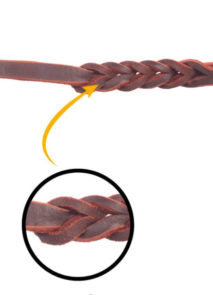 Traditionelle weiche geflochtene Lederleine mit Handschlaufe