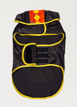 Fiesta Poncho