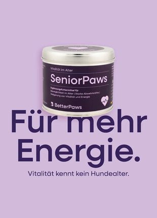 SeniorPaws