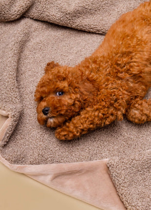 Kuscheldecke MINKY gemütlich und umweltfreundlich aus recycelten PET